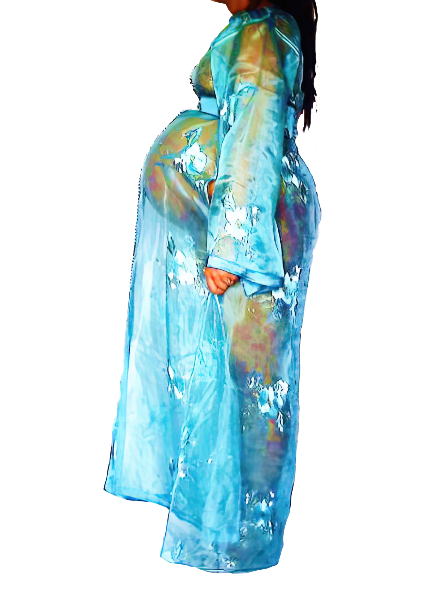 Le Corps Pansant - 2009